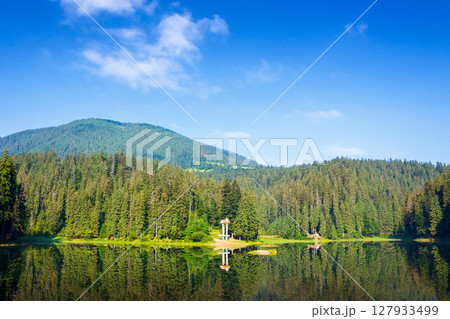 scenic landscape with lake among coniferous forest. beautiful place for weekend vacation and photography in transcarpathia. peaceful sunny morning in summer with blue sky 127933499