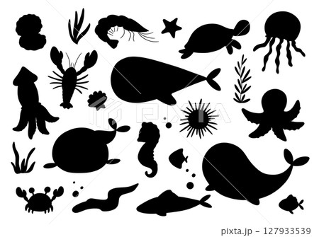Sea whale, shrimp and urchin silhouette. Ocean underwater animals isolated on white background. Seaweed black hand draw illustration 127933539