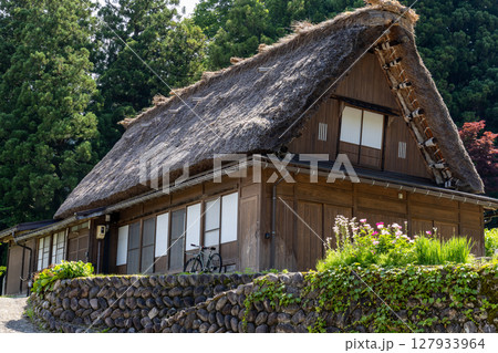 白川郷の合掌造りと石垣、初夏の緑に映える伝統家屋 白川郷の合掌造りと石垣、初夏の緑に映える伝統家屋 127933964