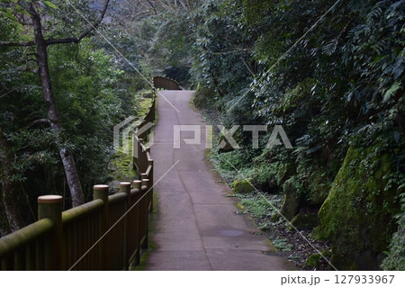 鹿児島 雄川滝 滝 鹿児島 雄川滝 滝 127933967