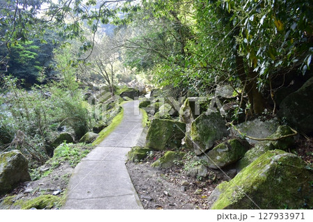 鹿児島 雄川滝 滝 鹿児島 雄川滝 滝 127933971
