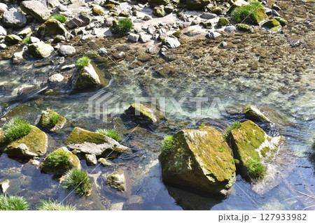 鹿児島 雄川滝 滝 鹿児島 雄川滝 滝 127933982