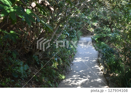 鹿児島　佐多岬　本土最南端 127934108