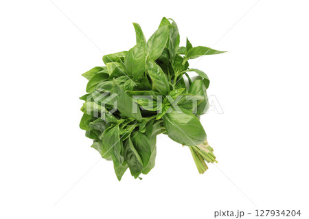 Sweet basil herb leaves bunch isolated on white background 127934204