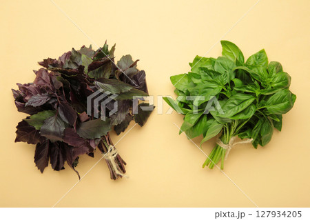 Green and purple basil herb on beige background 127934205