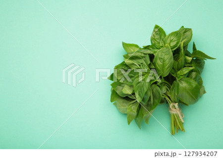 Branch fresh basil on mint background. Space for text Branch fresh basil on mint background. Space for text 127934207