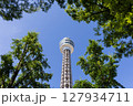 【横浜】青空の下のマリンタワー 127934711