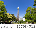 【横浜】青空の下のマリンタワー 127934712