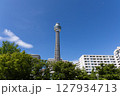 【横浜】青空の下のマリンタワー 127934713