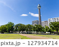 【横浜】青空の下のマリンタワー 127934714