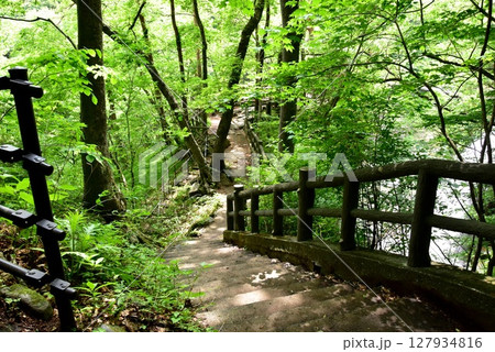 日光市　龍王峡ハイキングコース（自然探勝路）と新緑 127934816