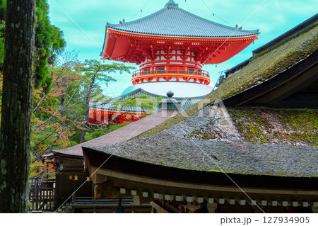 高野山　壇上伽藍の根本大塔 127934905