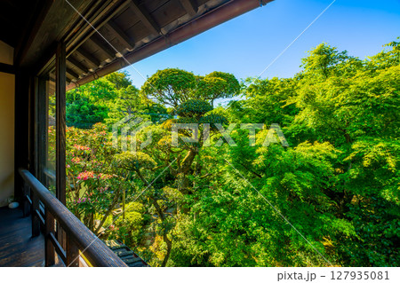 福岡県　甘木市　秋月の町並み 127935081