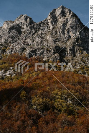 Majestic rocky mountain peak of Prokletije National Park in Montenegro rises above colorful autumn forest under clear blue sky 127935199
