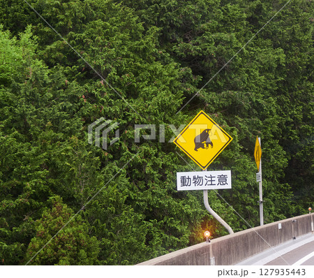 春の日本の山の新緑と高速道路に設置された動物注意のマーク 127935443
