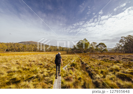 Arm River Track in Tasmania Australia Arm River Track in Tasmania Australia 127935648