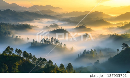 Misty Mountain Sunrise Ethereal Landscape with Foggy Valleys and Pine Trees 127935791