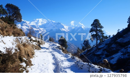Scenic Himalayan Mountain Trail with Snow Covered Peaks and Pine Trees on a Clear Blue Day Scenic Himalayan Mountain Trail with Snow Covered Peaks and Pine Trees on a Clear Blue Day 127935798