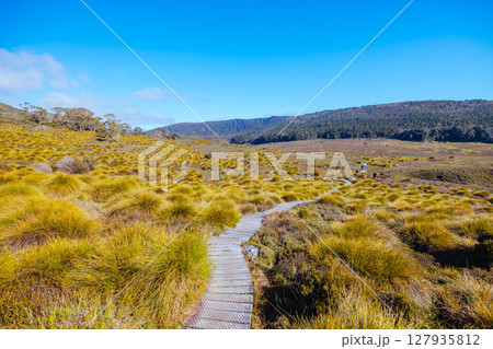 Ronny Creek at Cradle Mountain in Tasmania Australia Ronny Creek at Cradle Mountain in Tasmania Australia 127935812