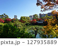 秋の相楽園　紅葉の日本庭園　神戸市 127935889
