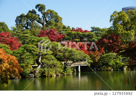 秋の相楽園　紅葉の日本庭園　神戸市 127935892