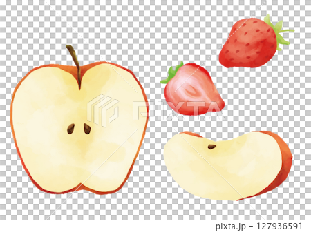 水彩風のカットフルーツセット 127936591