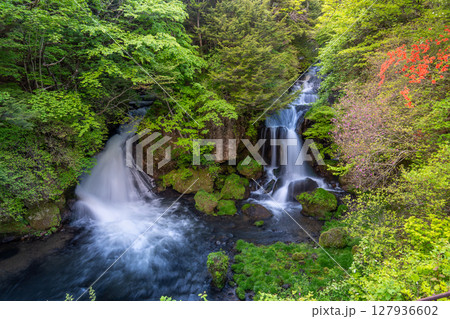 奥日光から初夏の竜頭の滝 奥日光から初夏の竜頭の滝 127936602