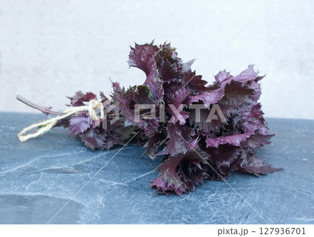 Fresh bunch of purple Perilla frutescens var. crispa on the stone table.  127936701