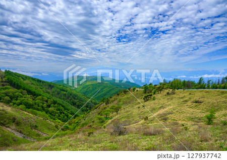 鉢伏高原スカイラインより高ボッチ山方面を望む【長野県】 鉢伏高原スカイラインより高ボッチ山方面を望む【長野県】 127937742