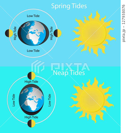 illustration of physics and astronomy, Spring tides and Neap tides, Lunar and Solar tides, Diagram showing earth tides, The Earth revolves around itself and receives sunlight 127938076