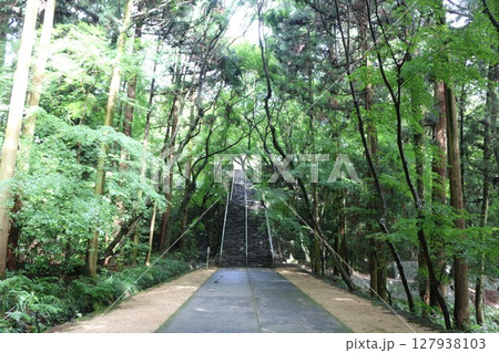 四国霊場　八十二番札所　根来寺 127938103