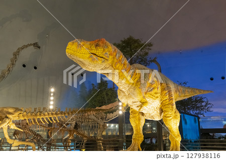 恐竜博物のティラノサウルス 127938116