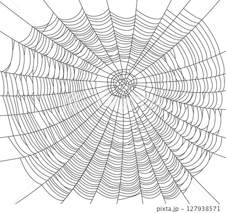 A large, detailed vector illustration of a spider web for a background, suitable for Halloween, with a creepy and scary feel, and no people. 127938571