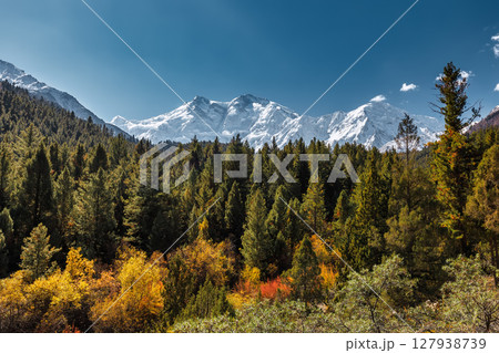 heaven on earth,Nanga Parbat from Fairy Meadows,Gilgit-Baltistan, Pakistan, 127938739