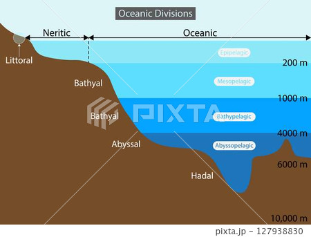 illustration of physics and geography, Oceanic divisions and depth zones as underwater parts in outline diagram, Mariana trench undersea landscape, Oceanic Divisions 127938830