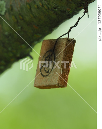 テックス板(ミカンミバエ対策) テックス板(ミカンミバエ対策) 127939074