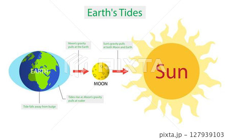 illustration of astronomy and cosmology Tides and Water Levels, The moon is a major influence on the Earth tides, but the sun also generates considerable tidal forces 127939103