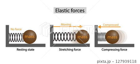 illustration of physics, elastic forces, Elastic force, stretch, resting, compressed tension. Elasticity potential energy graphic, Elastic force 127939118