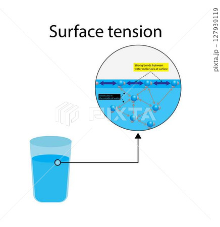 illustration of physics, Surface tension of water, the cohesive forces between water molecules at the surface, Surface tension explanation, adhesion, cohesion 127939119