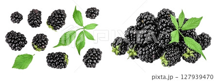 blackberry with leaf isolated on a white background. Top view. Flat lay 127939470