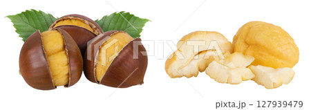 roasted chestnut isolated on white background wit full depth of field. 127939479