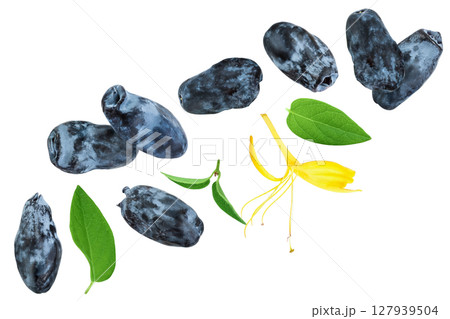 Fresh honeysuckle blue berry isolated on white background with full depth of field. Top view. Flat lay. Fresh honeysuckle blue berry isolated on white background with full depth of field. Top view. Flat lay. 127939504