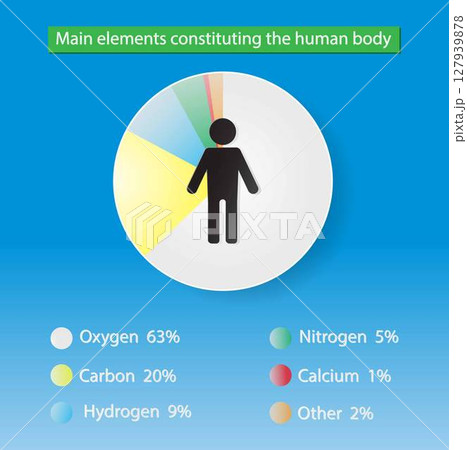 illustration of biology and medical, minerals in the human body, a mineral is a chemical element required as an essential nutrient by organisms, chemical composition of the human body 127939878
