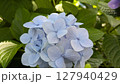 84 127940429