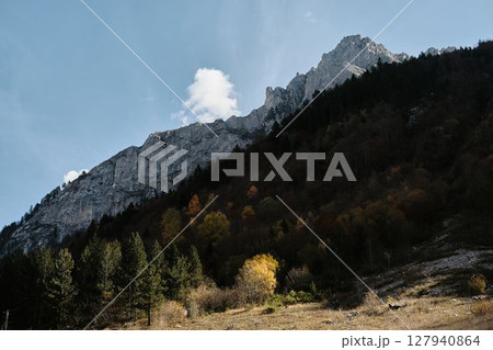 Dramatic cliffs rise above a forested slope dotted with golden autumn trees in Prokletije National Park, Montenegro, beneath a crisp blue sky. Ropojana valley mountains 127940864