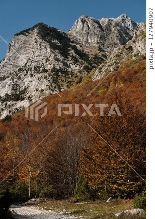 Narrow trail winding through vibrant autumn forest beneath steep cliffs in Prokletije National Park, Montenegro, a peaceful hiking scene Narrow trail winding through vibrant autumn forest beneath steep cliffs in Prokletije National Park, Montenegro, a peaceful hiking scene 127940907