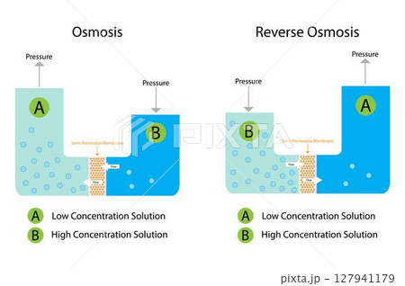 illustration of chemistry, Osmosis and Reverse Osmosis, Solvent passing through the semipermeable membrane from the less concentrated part to the more concentrated part, semi permeable membrane 127941179