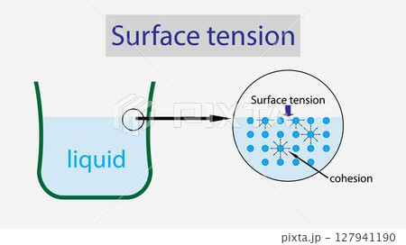 illustration of physics, Water has a surface tension, Surface tension of water, the cohesive forces between water molecules at the surface, Surface tension explanation, adhesion 127941190