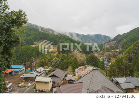 島田市川根町の寿永の桜の風景(静岡県) 127941336