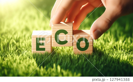Wooden blocks on green grass with the word ECO. Concept of environment and ecology 127941388